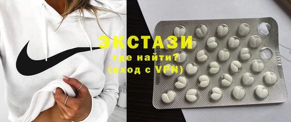 ECSTASY Богородицк